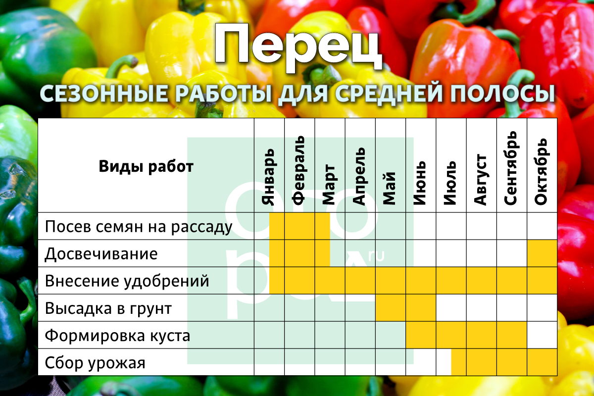 Календарь ухода за перцами. Календарь ухода за томатами. Календарь ухода за перцем в открытом грунте. Таблица ухода за помидорами. График подкормки томатов